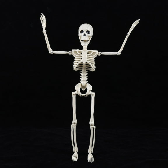 "Life-Size Poseable Halloween Skeleton with Movable Joints - Realistic Haunted House Graveyard Decor for Indoor Outdoor Scary Party Decoration" (148 characters)