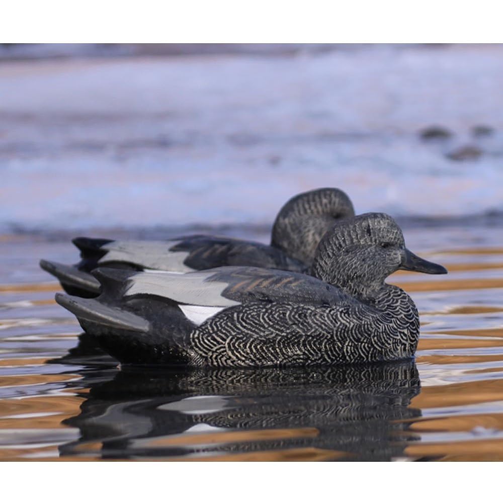 Life Size Series Gadwall Decoys