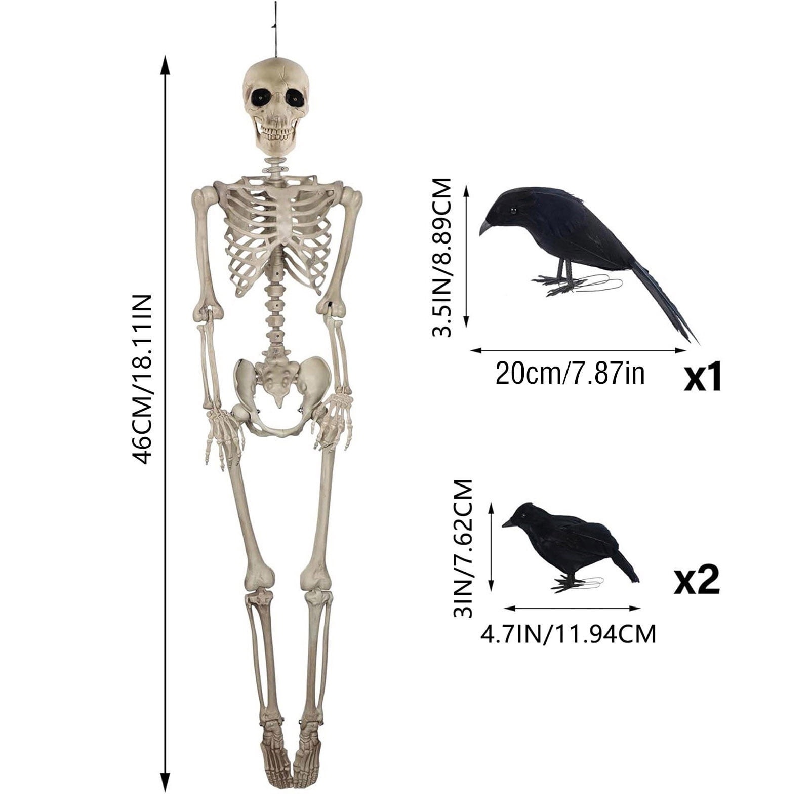 Life Size Skeleton, 18.11/35.43IN Halloween Skeleton Life Size, Life ...