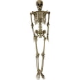 thumbnail image 1 of Life-Size 5 ft Skeleton Prop, Indoor/Covered Outdoor Halloween Decoration, HHSKEL-8HA, 1 of 11