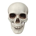 thumbnail image 1 of Life Size Skeleton Skull for Halloween Decor Graveyard Outdoor, White Realistic Skull Prop for Haunted House Yard Lawn Display, Halloween Party Decoration, Bone Head Statue for Garden, 1 of 7