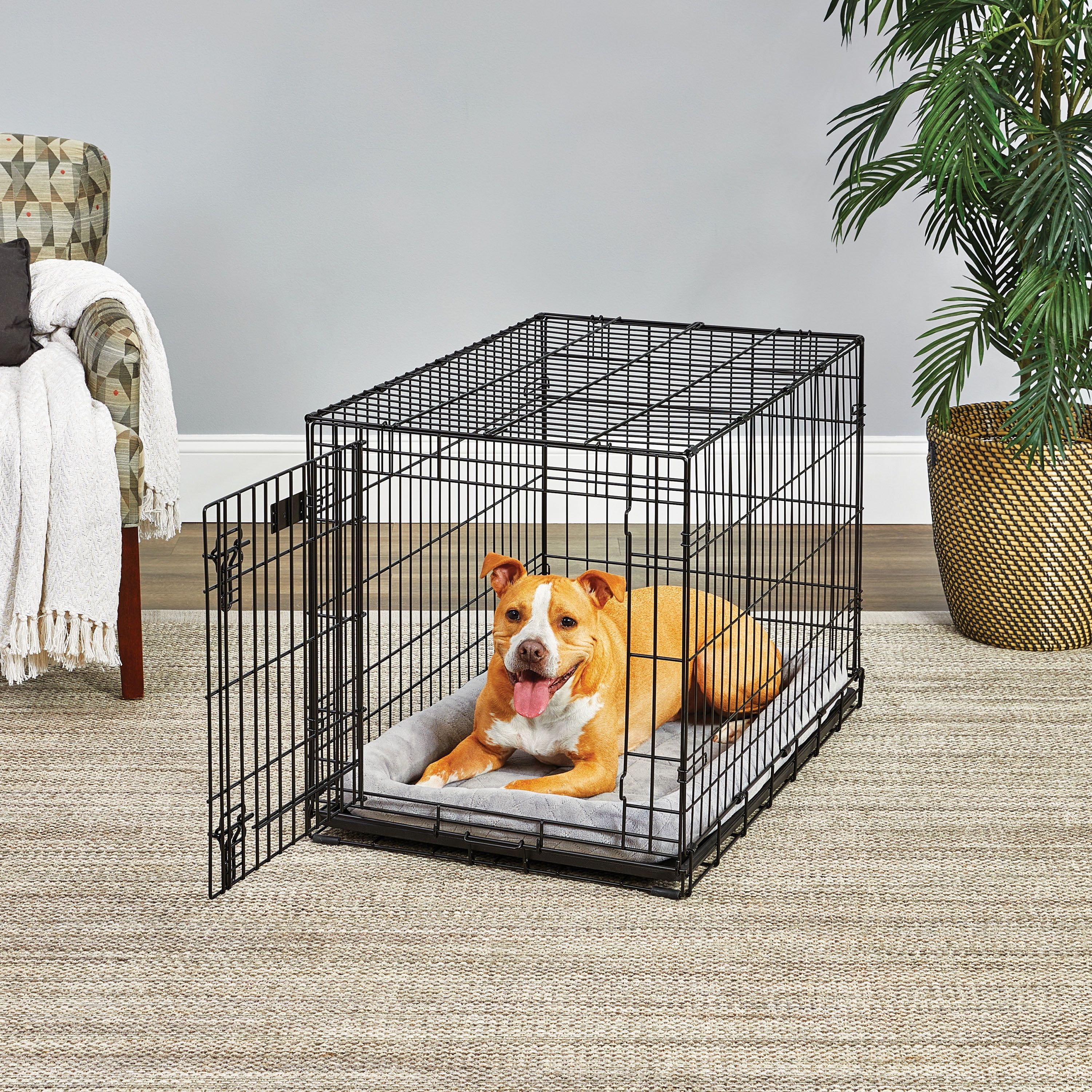 MidWest Homes for Pets 36-Inch LifeStages Crate for Medium-Large