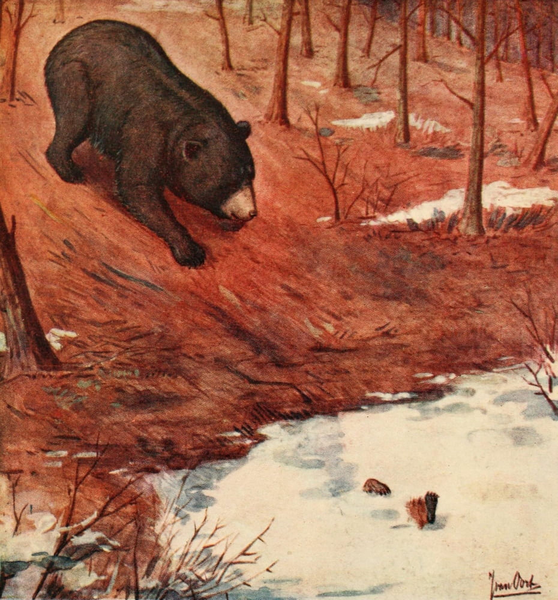 Life Story of a Black Bear 1910 How I tumbled downhill Canvas Art - Unknown (24 x 36)