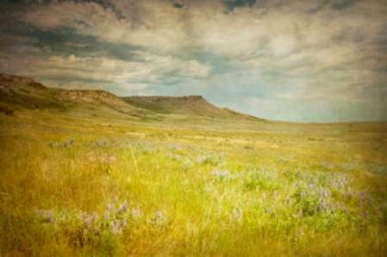 Life Under the Cliffs Canvas Art - Roberta Murray (24 x 36)