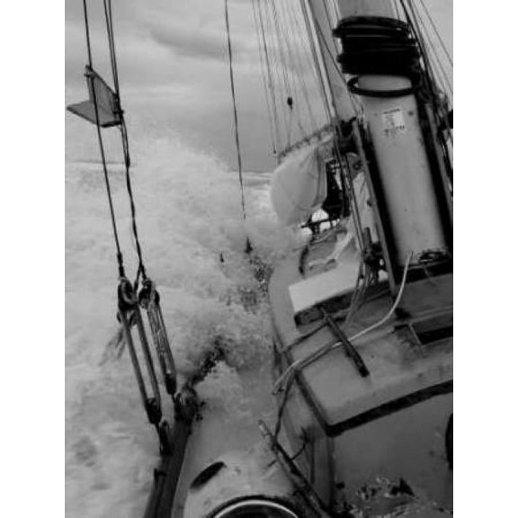 Life at Sea I Poster Print by Brian Kidd (18 x 24)