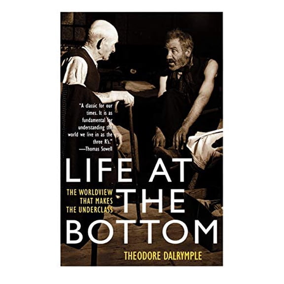 Pre-Owned Life at the Bottom: The Worldview That Makes the Underclass, (Paperback)