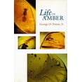 thumbnail image 1 of Life in Amber, (Hardcover), 1 of 1