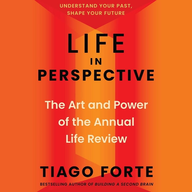 Life in Perspective: The Art and Power of the Annual Life Review, (Audiobook)