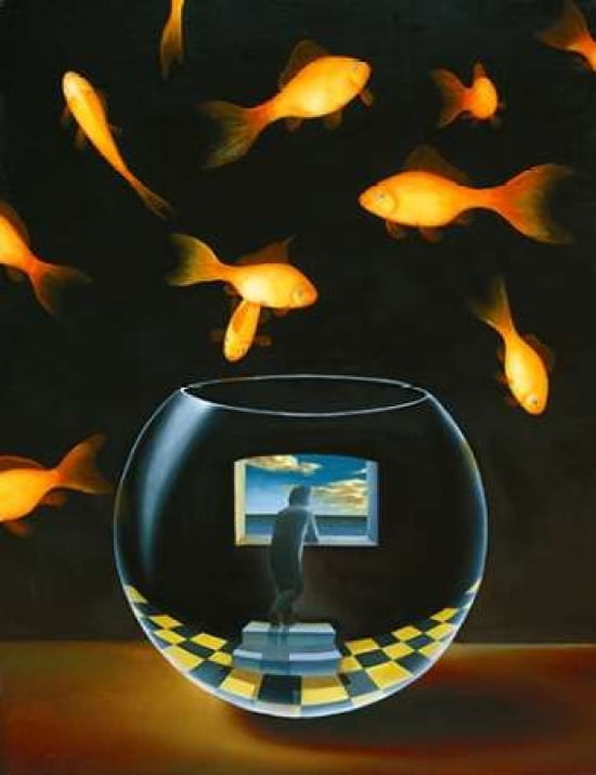 Life in a Wish Bowl Canvas Art - Samy Charnine (22 x 28)