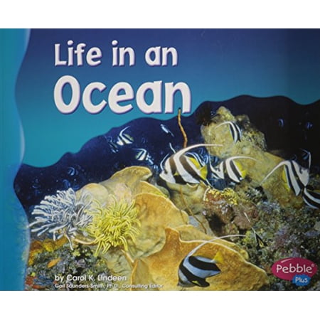 Pre-Owned Life in an Ocean (Paperback) 0736834060 9780736834063