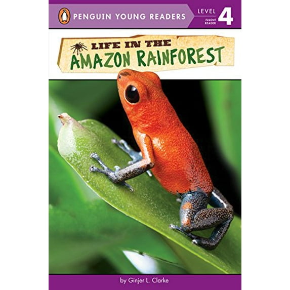 Pre-Owned Life in the Amazon Rainforest (Paperback) by Ginjer L Clarke