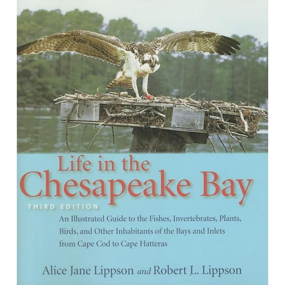 Life in the Chesapeake Bay, (Paperback)
