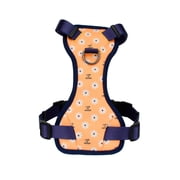 Life is Good Dog Harness: Comfort and Style Combined