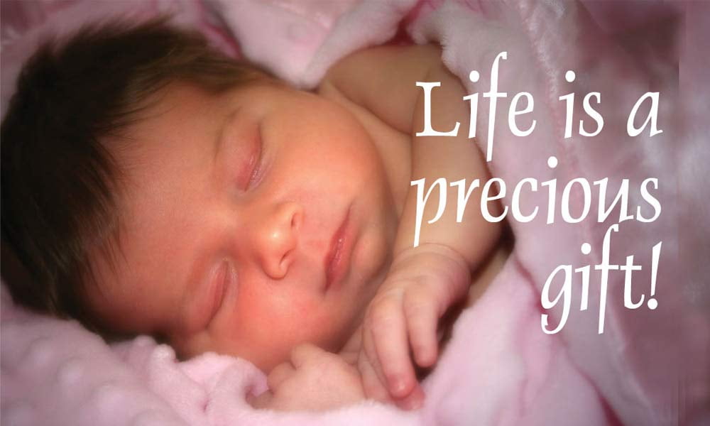 Life is Precious, Business Card Pro-Life Magnet (Pack of 50)