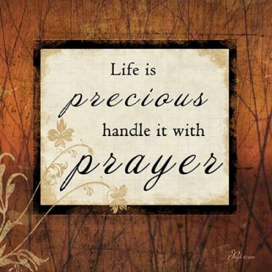 Life is Precious Canvas Art - Jennifer Pugh (24 x 24)