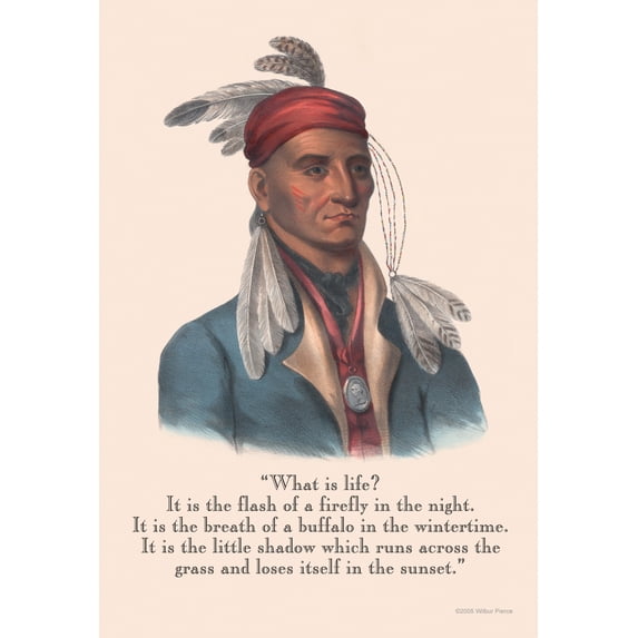 Life is a Flash of a firefly, the breath of a buffalo and the shadow that runs across the grass. Poster Print by Proverb Native American (24 x 36)