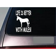 Life is better with mules *F389* 6 sticker decal trailor burrow draft miniature
