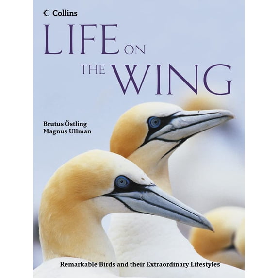 Pre-Owned Life on the Wing: Remarkable Birds and their Extraordinary Lifestyles (Hardcover) 0007240473 9780007240470