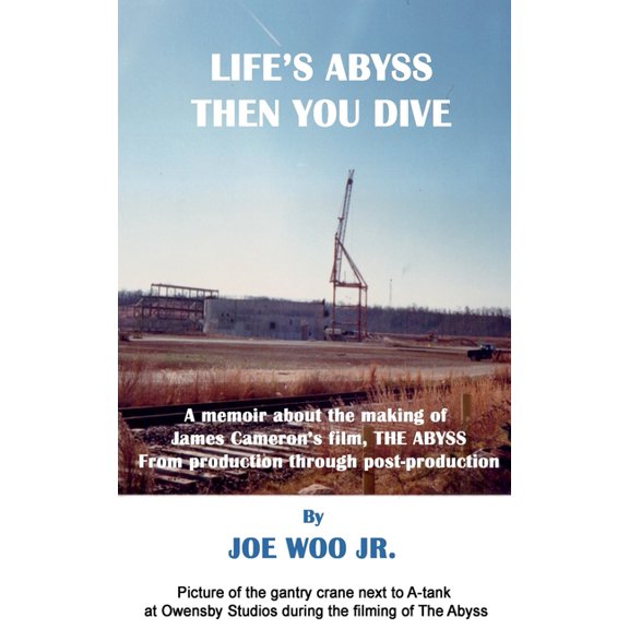 Life's Abyss Then You Dive, (Paperback)