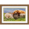 thumbnail image 1 of Life's a Bear 2x Matted 40x28 Large Gold Ornate Framed Art Print by Thomas Mangelsen, 1 of 2