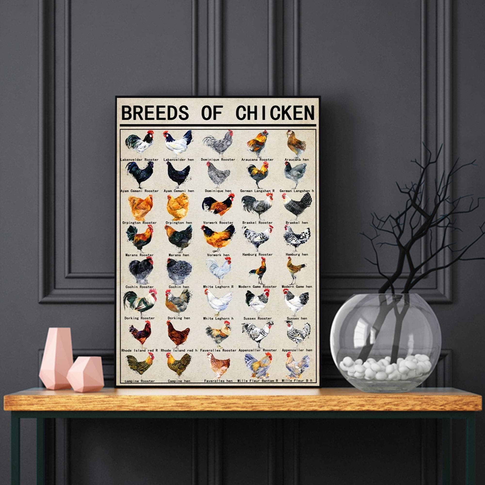 LifePlus Breeds Of Chicken Poster, Chickens Knowledge Wall Art, Funny ...