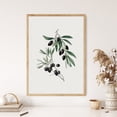 thumbnail image 1 of LifePlus Olive Tree Branch Watercolor Painting Print Poster Framed Drawing Botanical Boho Pastel Neutral Living Room Kitchen Wall Art Decor, 1 of 3