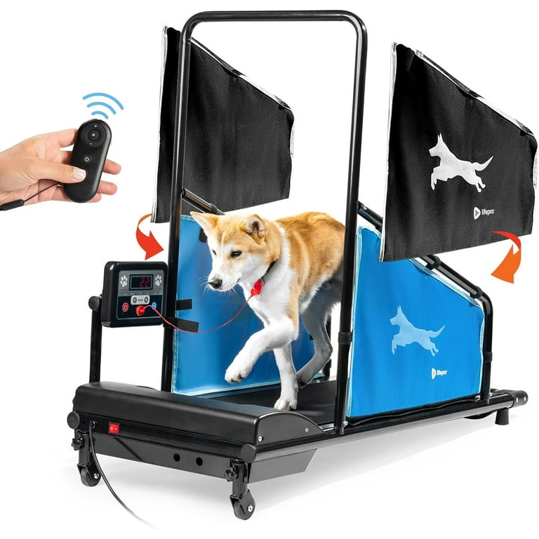 How to Train a Dog to Walk on Treadmill: Easy Steps for Success
