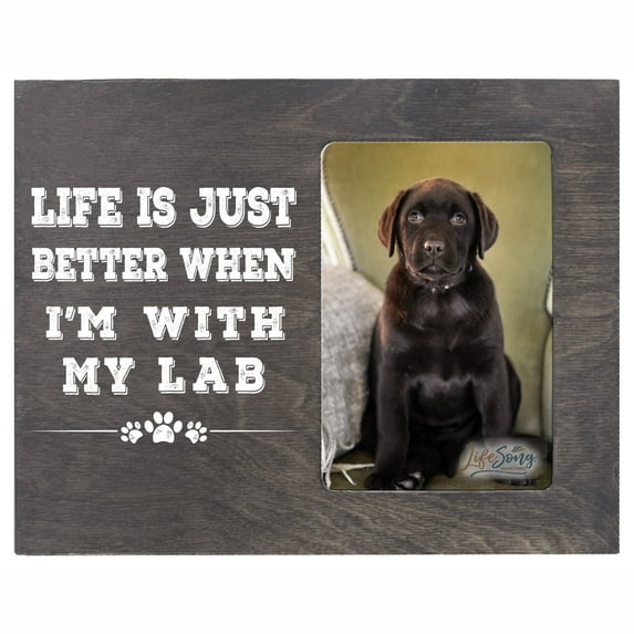 LifeSong Milestones Dog Tabletop Picture Frame 4x6 Photo for Home Decor - Life Is Better (Grey)