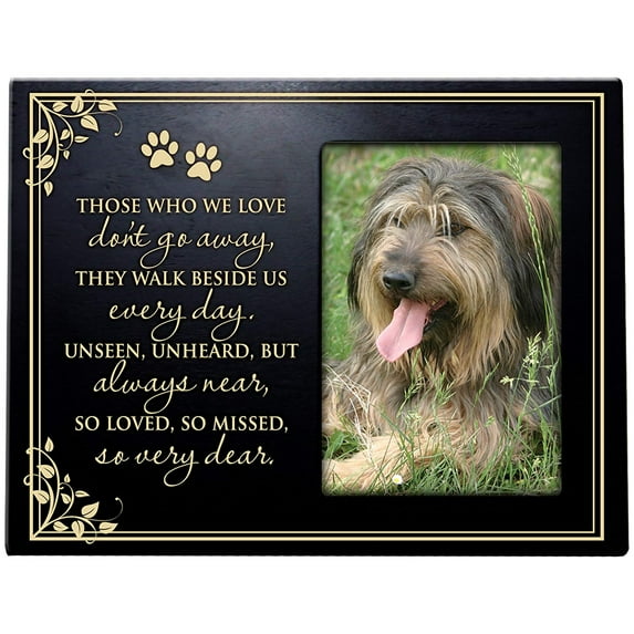 LifeSong Milestones Pet Memorial Tabletop Picture Frame Holds 4x6 Photo - Don't Go Away