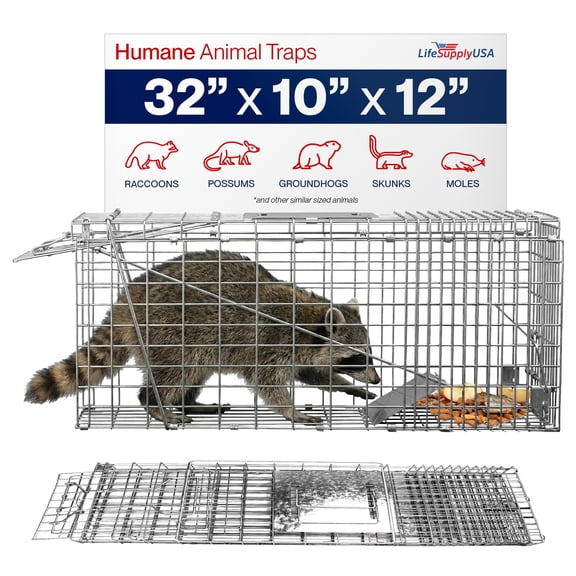32" Humane Live Animal Trap Collapsible Heavy Duty Cage for Raccoon, Possum, Cat Trap for Stray Cats, Armadillo, Groundhog, Skunk, Squirrel & Rabbit Professional Catch & Release by LifeSupplyUSA