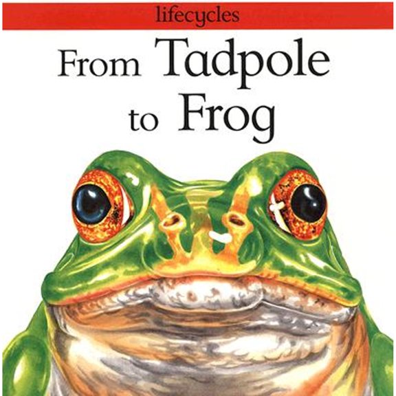 Pre-Owned From Tadpole to Frog (Lifecycles) (Paperback) 0531153355 9780531153352