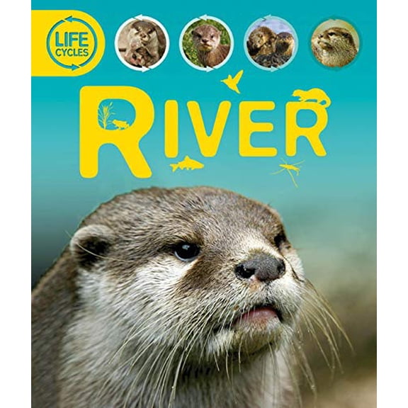 Pre-Owned River (Paperback) 0753470667 9780753470664