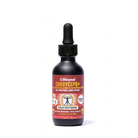 Lifecykel Cordyceps +