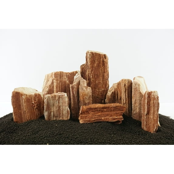 Lifegard Aquatic Redwood Petrified Stone 10 Gallon Aquarium Setup Rock Kit