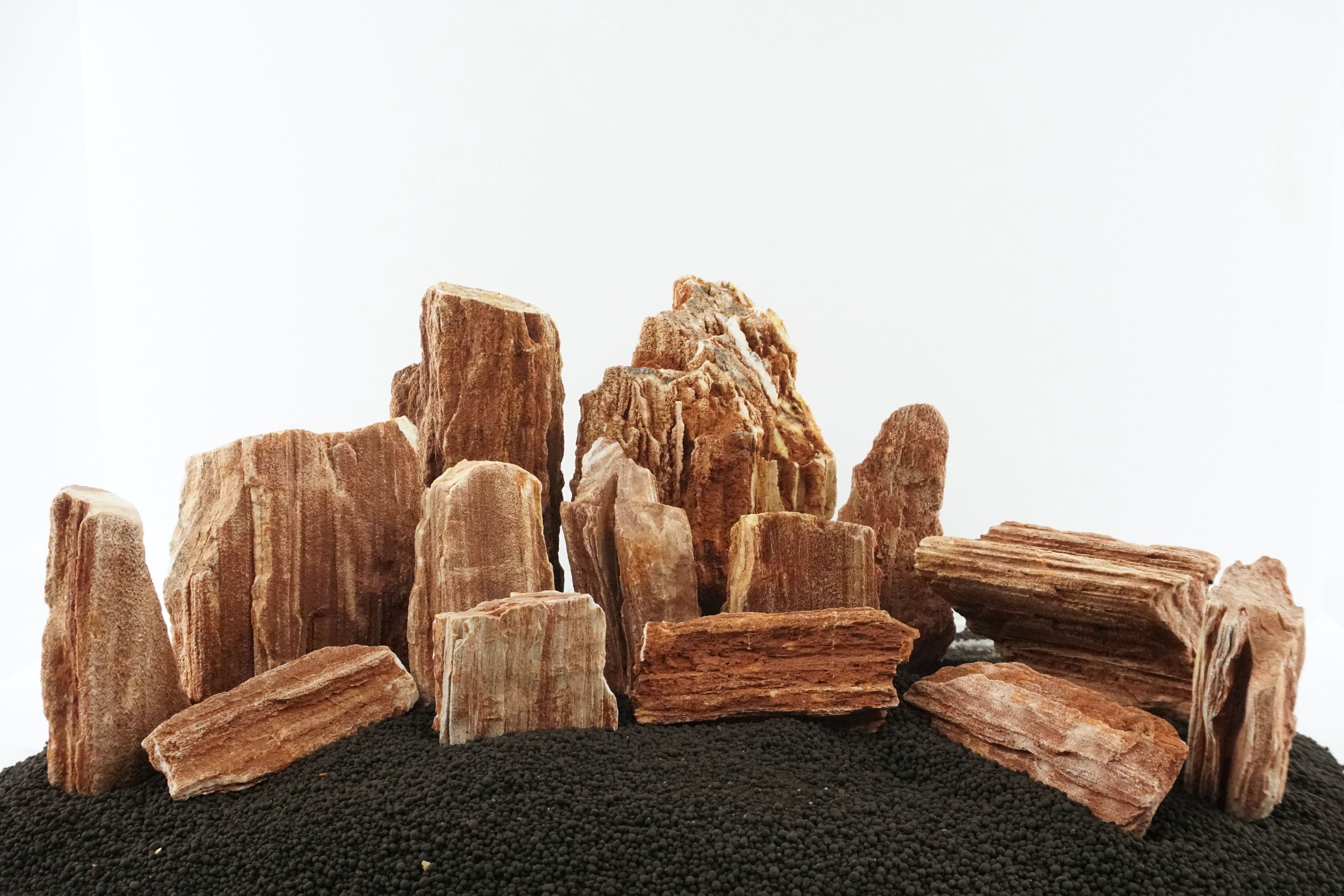 Lifegard Aquatics Canyon Petrified Stone Aquascaping Kit – 25 Gallon, Natural Decorative Rocks For Aquariums