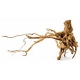 thumbnail image 1 of Lifegard Spider Wood/Cuckoo Root-Approximate Size 7"-15", R480073, Brown, 1 of 1