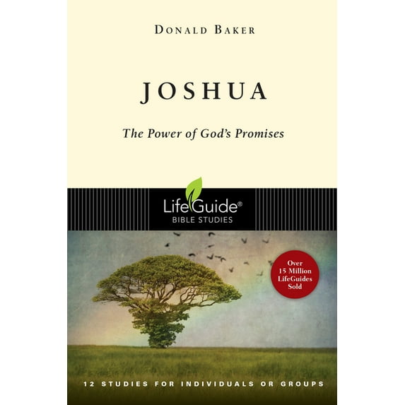 Lifeguide(r) Bible Studies Joshua: The Power of God's Promise, (Paperback)