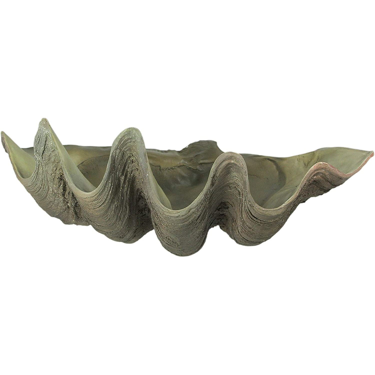 Life Like Shell Cast Lifelike Cast Polyresin Giant Clam Shell Decorative Bowl - Walmart.com