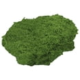 thumbnail image 1 of Lifelike Faux Moss Flocking, Easy to Shape And Spread, No Maintenance Artificial Green for Model Making, Fairy Garden, Wall Art Decor, 1X Simulated Moss Artificial Miniature Landscape Ornament, 1 of 9