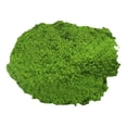 thumbnail image 1 of Lifelike Faux Moss Flocking, Easy to Shape And Spread, No Maintenance Artificial Green for Model Making, Fairy Garden, Wall Art Decor, 1X Simulated Moss Artificial Miniature Landscape Ornament, 1 of 8