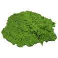 thumbnail image 1 of Lifelike Faux Moss Flocking, Easy to Shape And Spread, No Maintenance Artificial Green for Model Making, Fairy Garden, Wall Art Decor, 1X Simulated Moss Artificial Miniature Landscape Ornament, 1 of 8