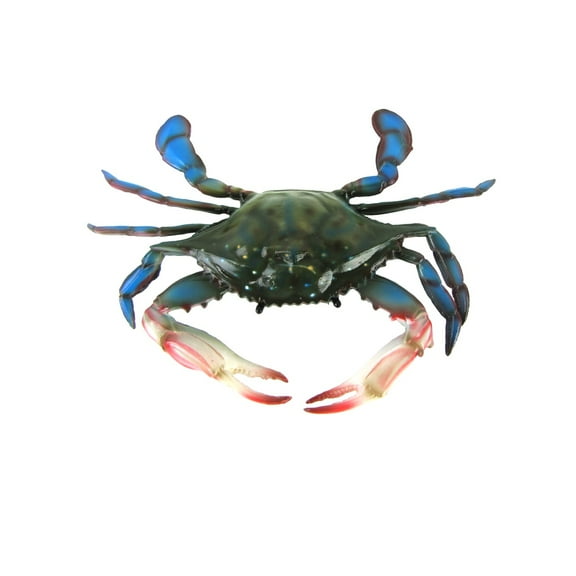 Lifelike Maryland Blue Crab Nautical Plaque Wall Mount Tiki Bar Beach House Coastal Home Decor