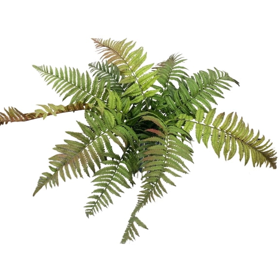 Lifelike Persian Fern Silk Greenery for Home Indoor Outdoor Arrangements Realistic Decoration for Living Rooms and,70 cm,Green