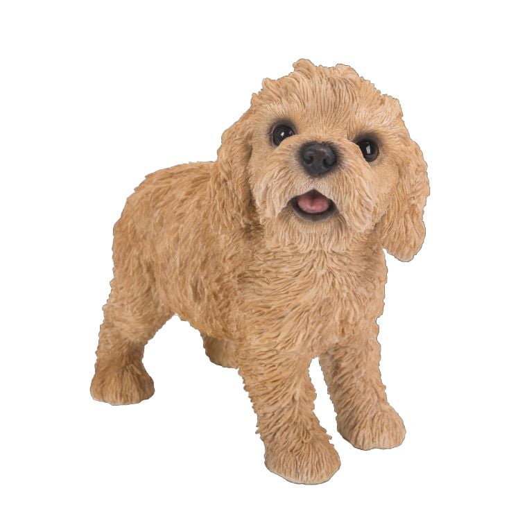 https://i5.walmartimages.com/seo/Lifelike-Realistic-Smiling-Labradoodle-Puppy-Dog-Figurine-With-Glass-Eyes-5-5-H_81f46a8e-8425-426c-89d5-41c6fe651299_1.704090d6edc44145f5df2f6bfb64d6ac.jpeg