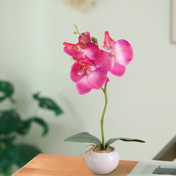 Lifelike Silk Phalaenopsis Orchid Bonsai, Artificial Potted Greenery in Ceramic Pot, Home Decor, 1 Pc