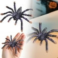 thumbnail image 1 of Lifelike Tarantula Spider Toy Figurine - Realistic Rubber Insect Model for Halloween Decorations, Prank Joke Props, Educational Learning & Party Cake Topper, 1 of 7