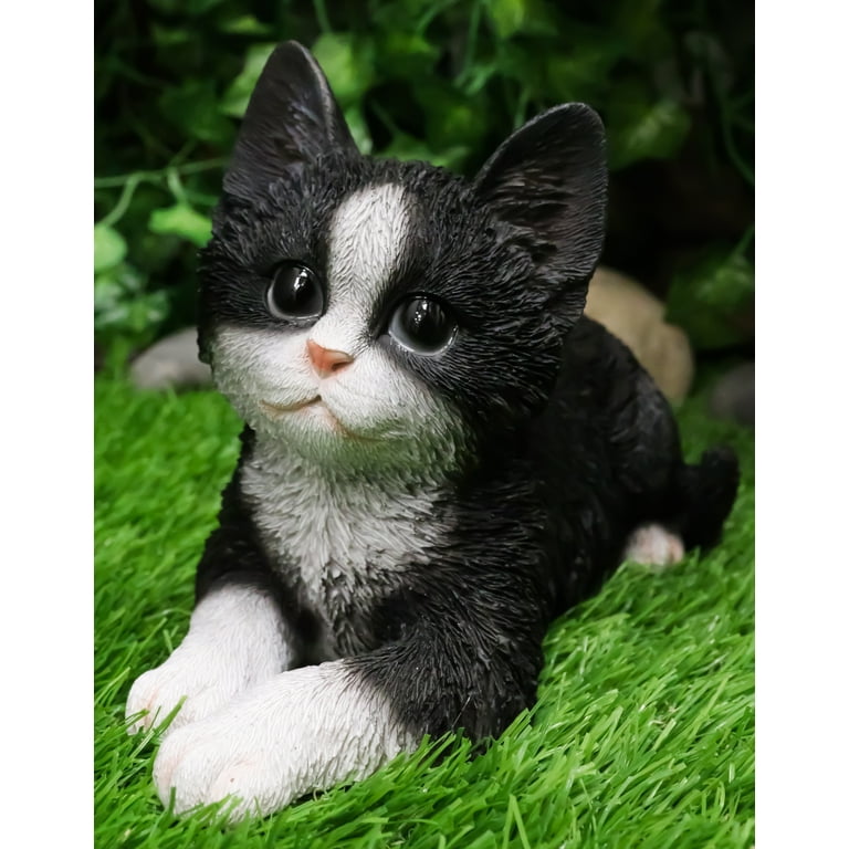 https://i5.walmartimages.com/seo/Lifelike-Tuxedo-Black-And-White-Feline-Kitten-Cat-Sitting-On-Its-Belly-Figurine_ff4d5732-f7f0-47e6-b133-6c2f528adee7.d2681f6b3edfbb5cde36ac5980e9a12f.jpeg?odnHeight=768&odnWidth=768&odnBg=FFFFFF