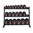 thumbnail image 1 of Lifeline 5 lb–100 lb (2,100lb) Pro Round Dumbbell Set with 3-Tier Rack, 1 of 5
