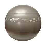 Lifeline Exercise Ball 65CM