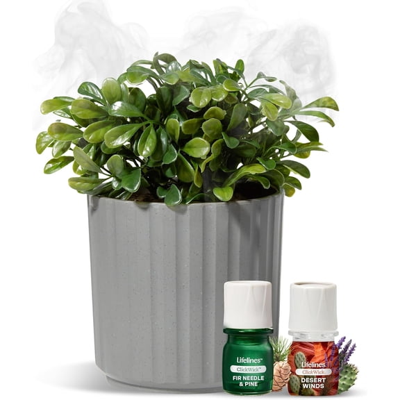 Lifelines Boxwood Plant Diffuser Bundle with 2 Clickwick Essential Oil Blends, Grey Leafy Modern Planter